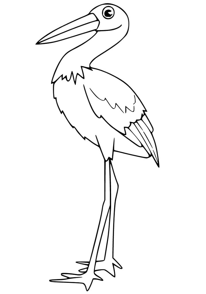Pretty Stork