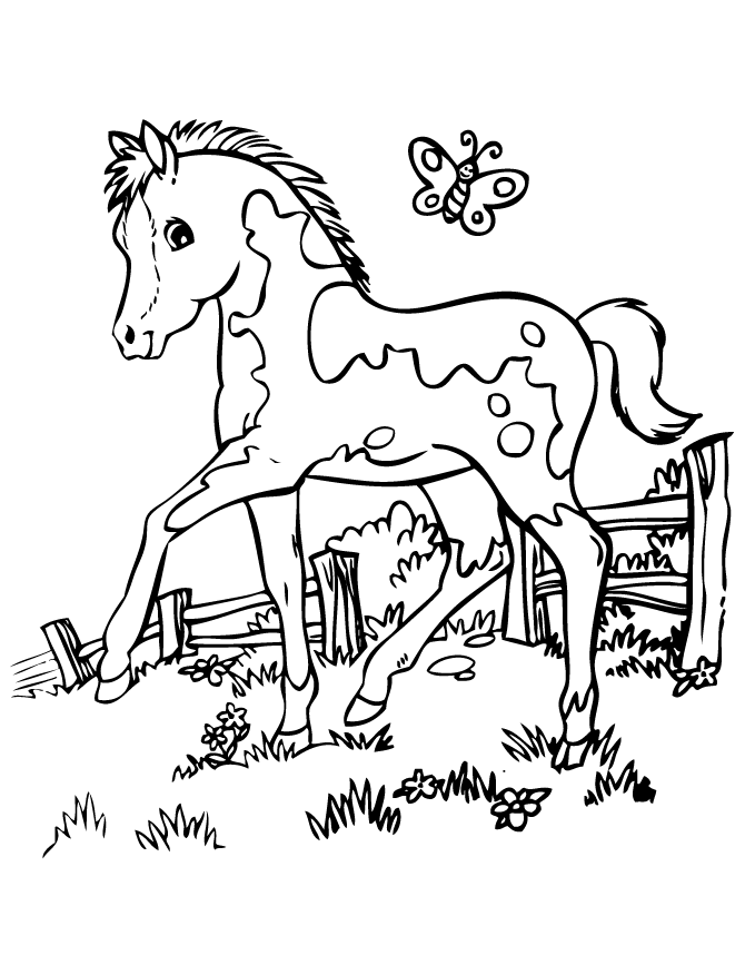 Pretty_horse_coloring_page Coloring Page
