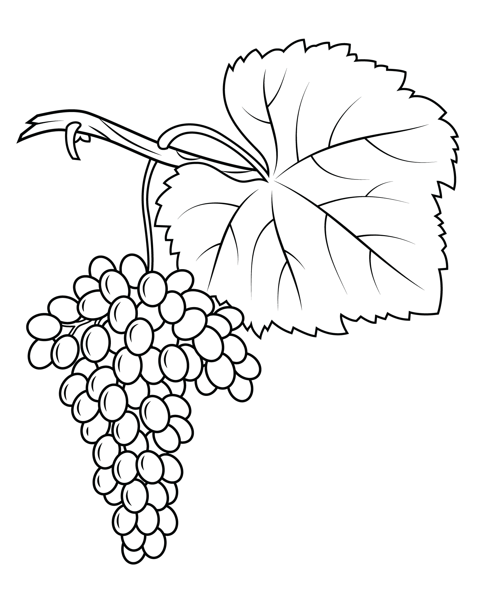 Print Grapes