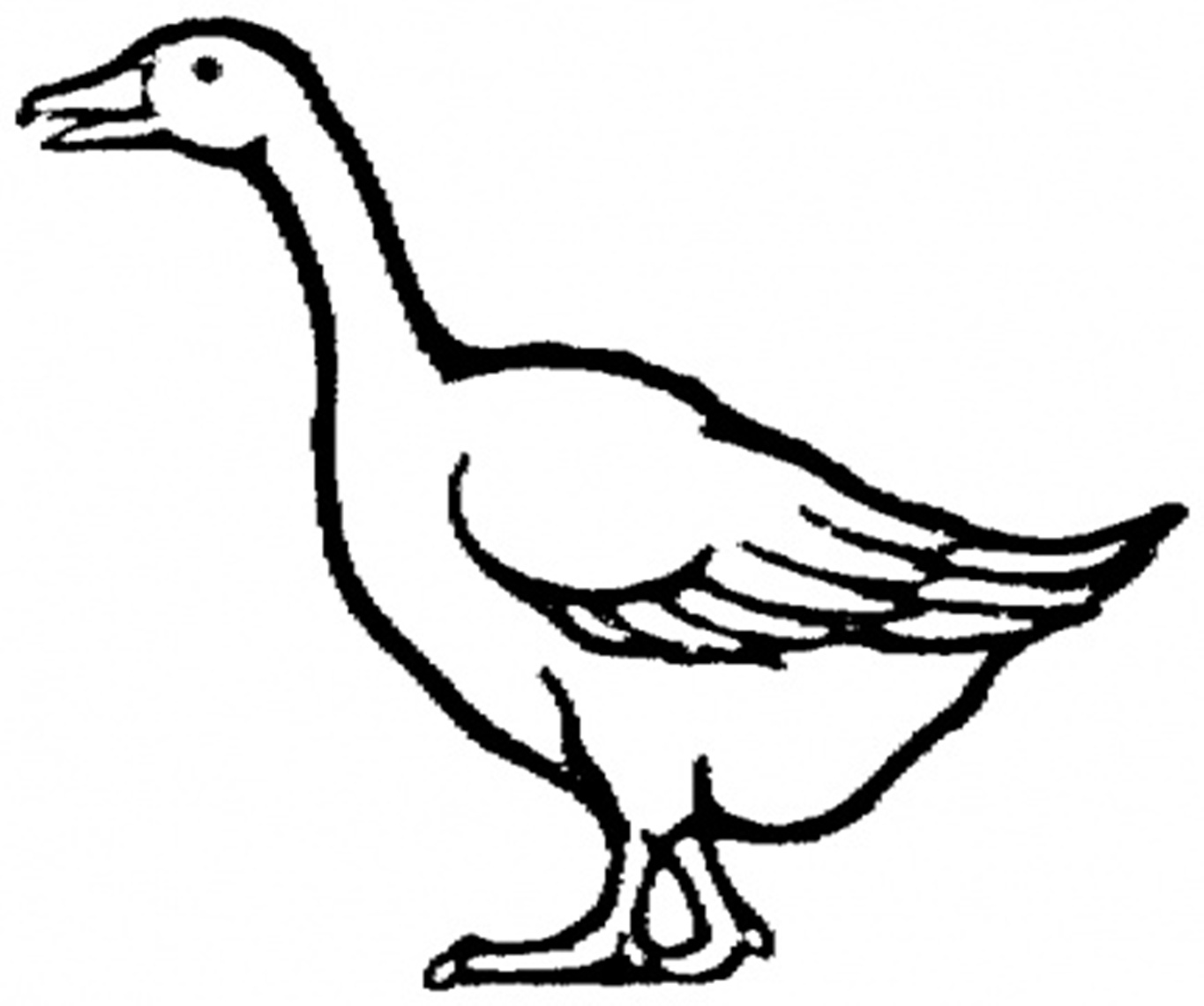 Printable Animal S Free Gooseaaa3 Coloring Page