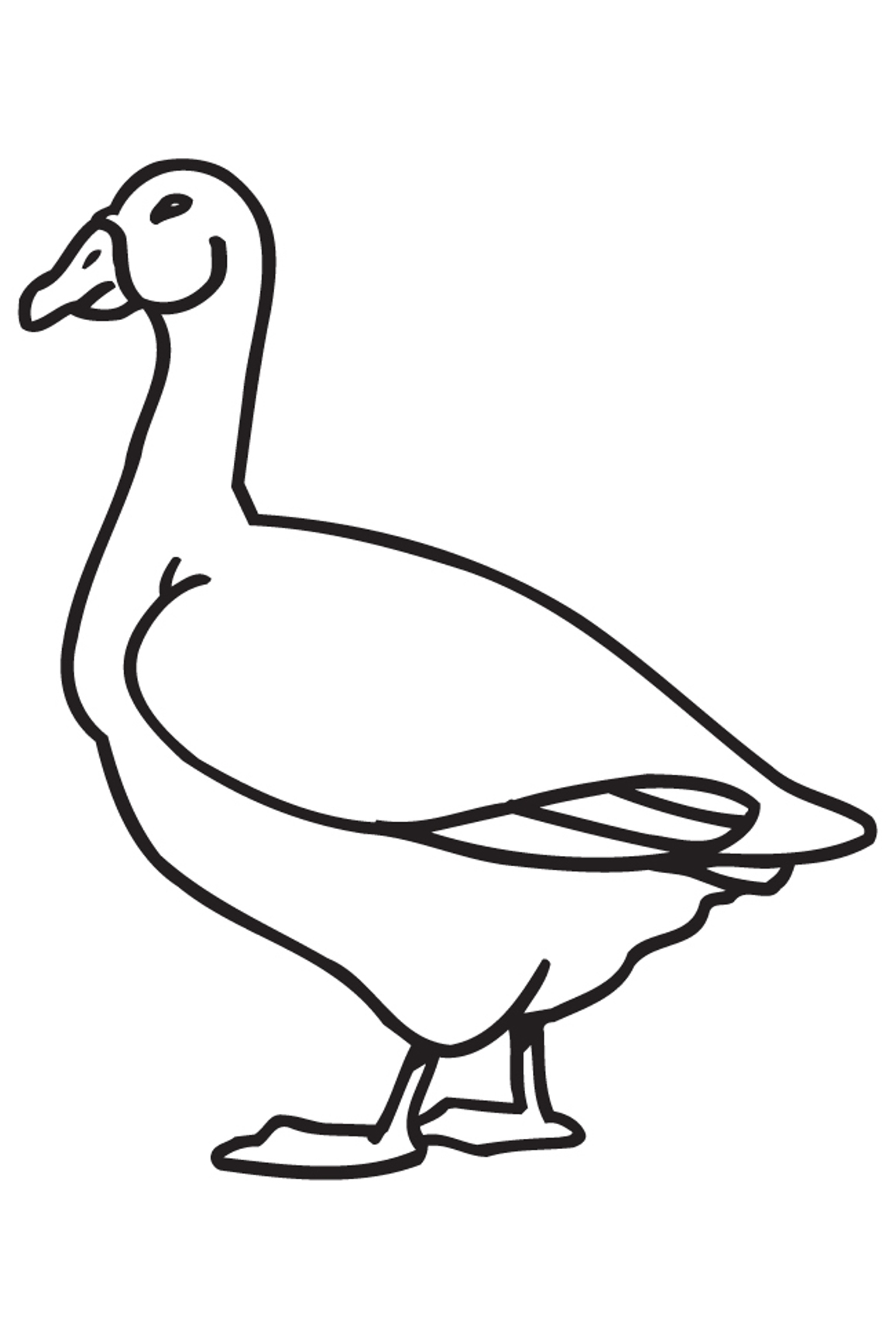 Printable Animal S Goose Freea153 Coloring Page