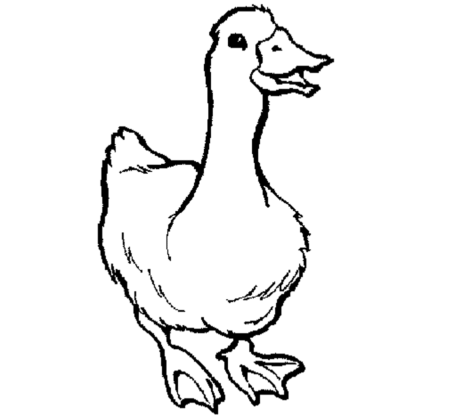 Printable Animal S Goose2032 Coloring Page