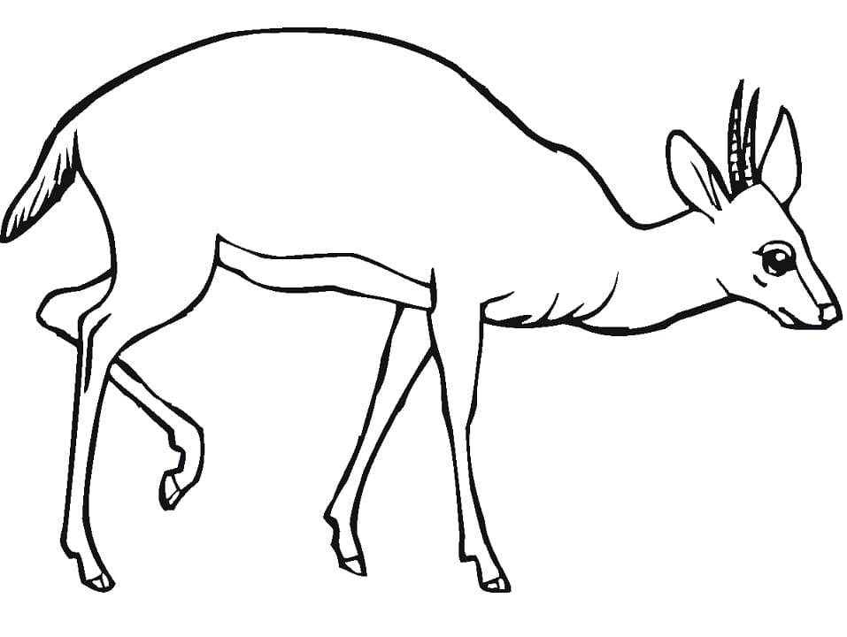 Printable Antelope Coloring Page