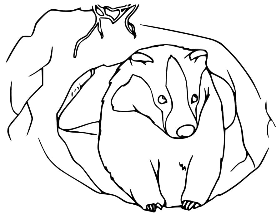 Printable Badger Coloring Page