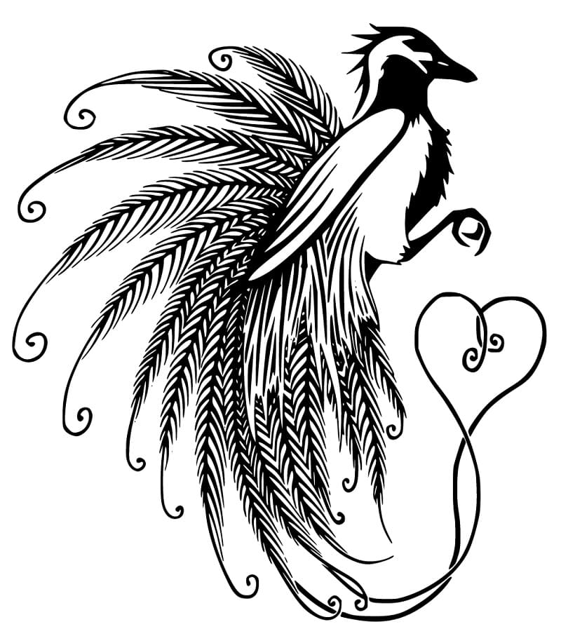 Printable Bird of Paradise Coloring Page