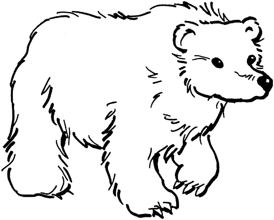 Printable Brown Bear Coloring Page