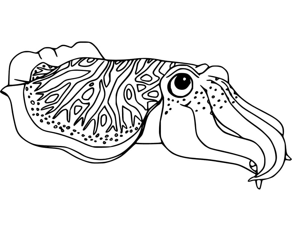 Printable Cuttlefish
