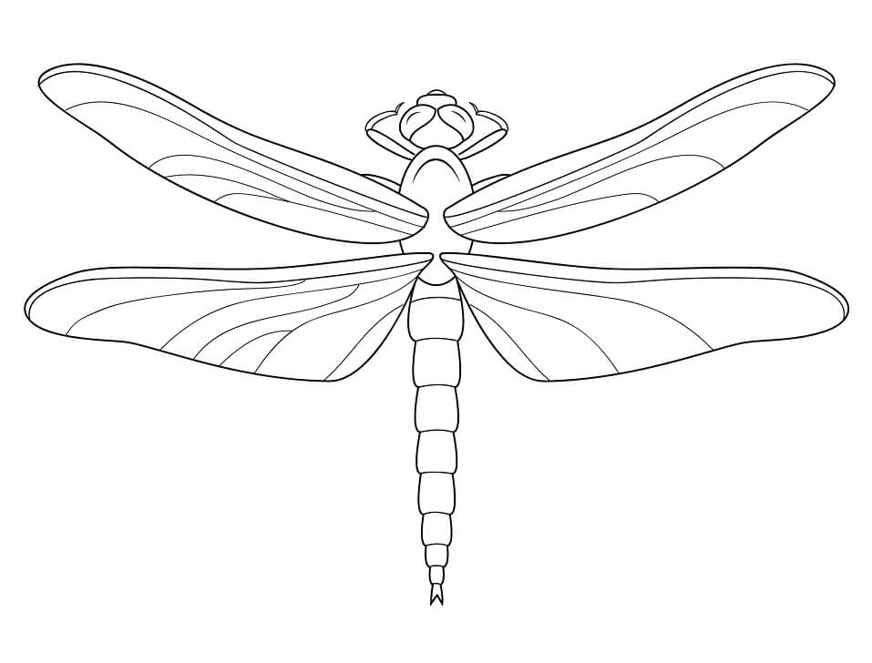 Printable Dragonfly