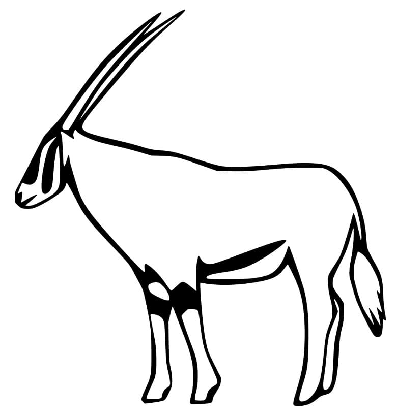 Printable Gazelle Coloring Page