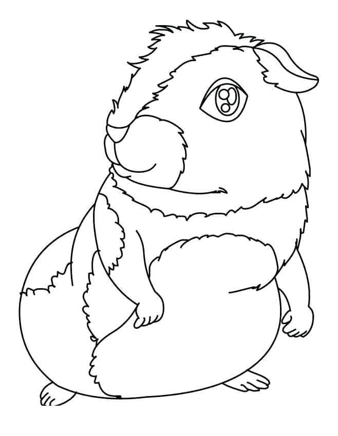 Printable Guinea Pig Coloring Page