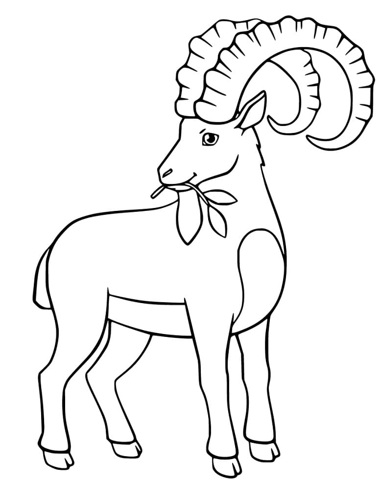 Printable Ibex Coloring Page