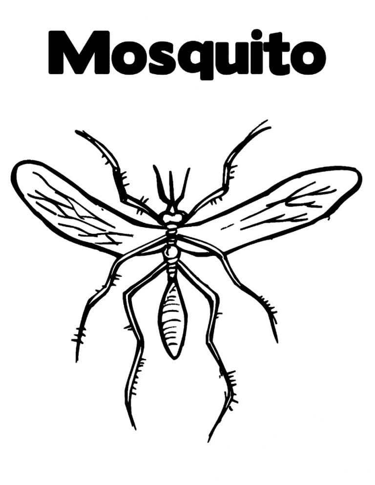 Printable Mosquito Coloring Page