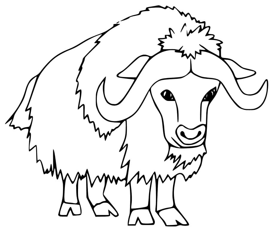 Printable Musk Ox Coloring Page