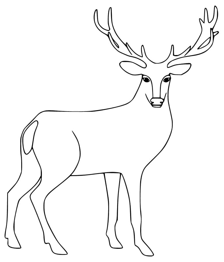 Printable Red Deer