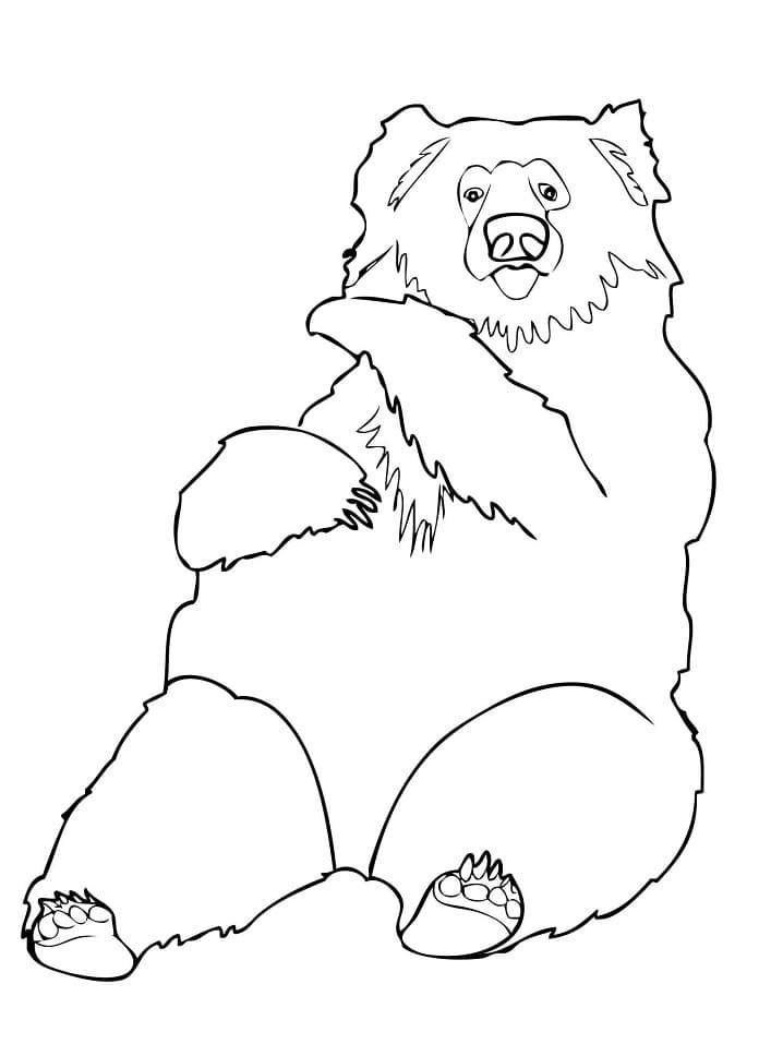 Printable Sloth Bear Coloring Page