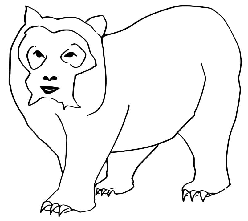Printable Spectacled Bear