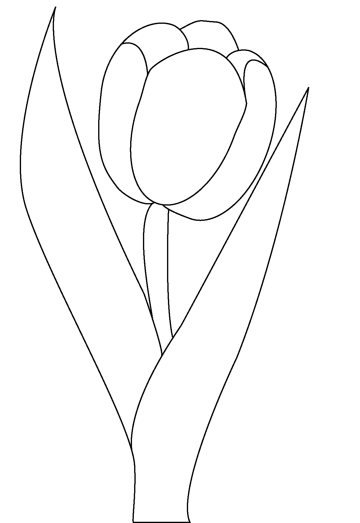 Printable Tulips Coloring Page