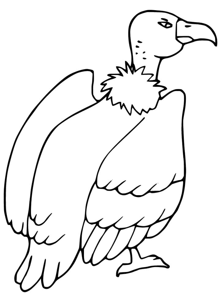 Printable Vulture