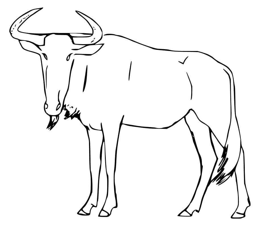 Printable Wildebeest Coloring Page