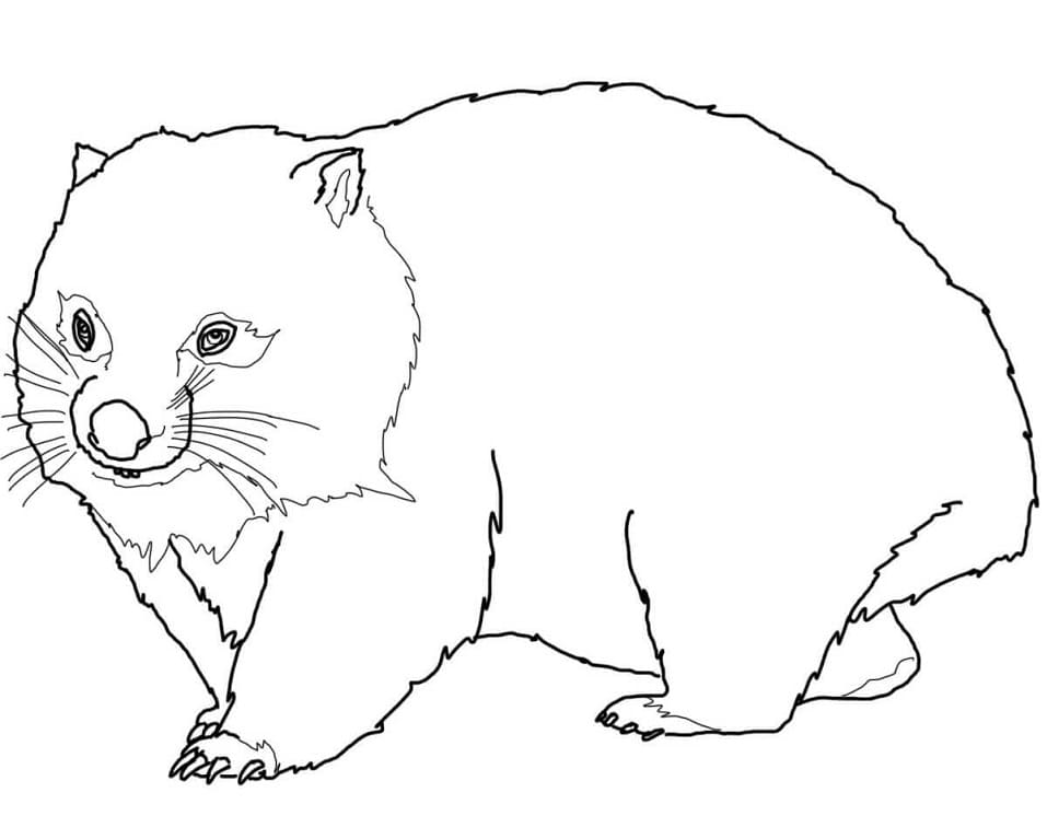 Printable Wombat