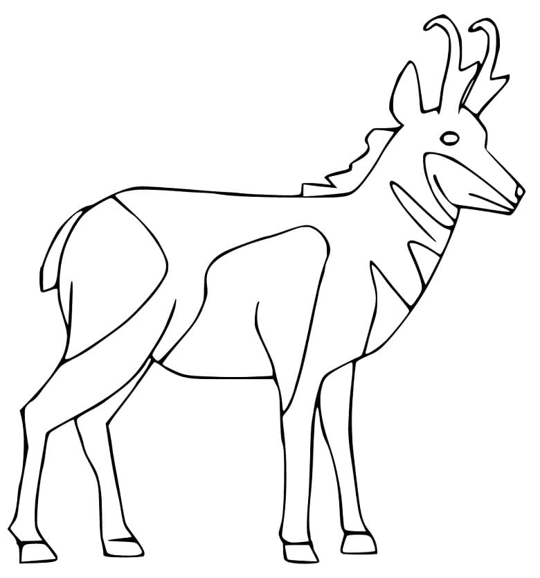 Pronghorn 1 Coloring Page
