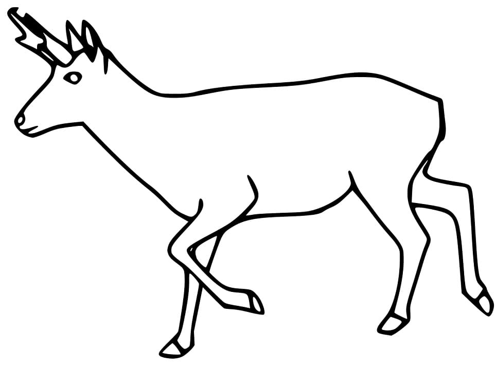 Pronghorn Running Coloring Page