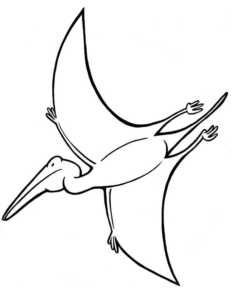 Pterodactyl 1 Coloring Page