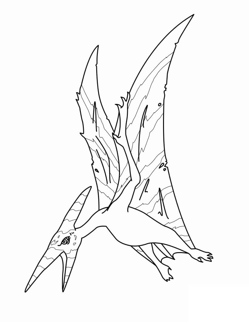 Pterodactyl 6 Coloring Page