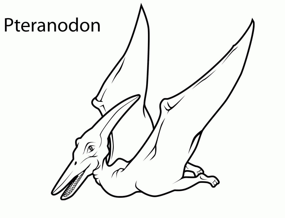 Pterodactyl 7 Coloring Page