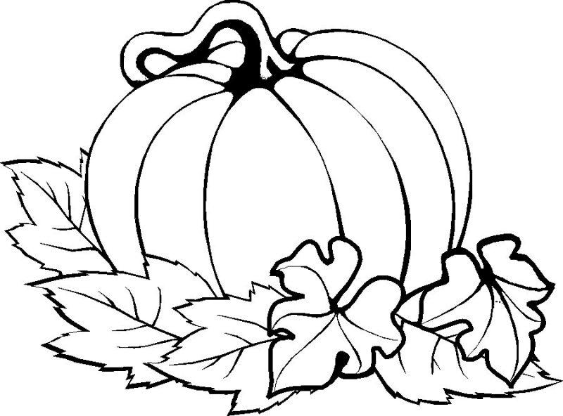 Pumpkin Easy Thanksgiving S Printables7e6b