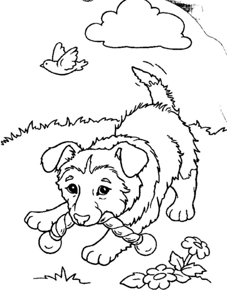 Puppy 2 Coloring Page