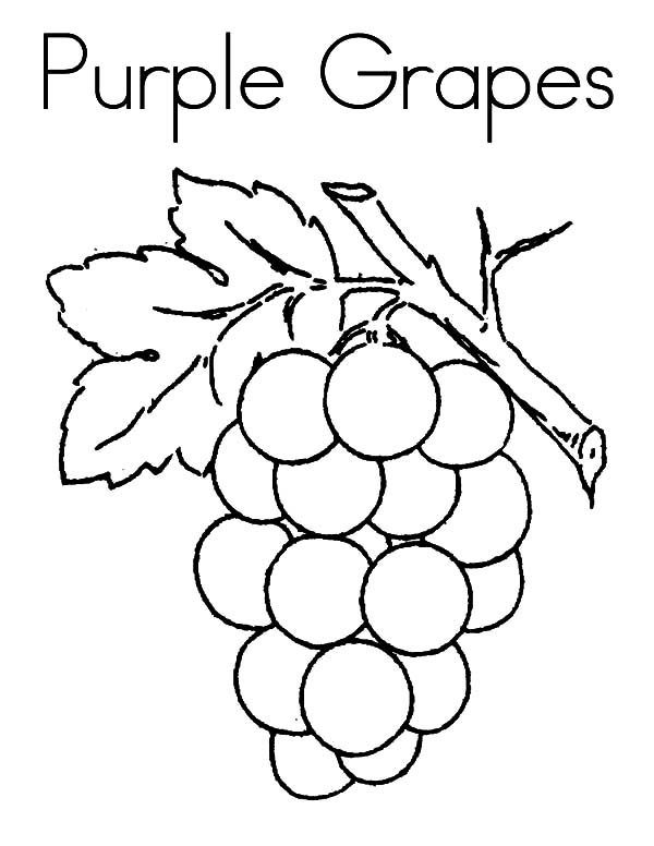 Purple Grapess