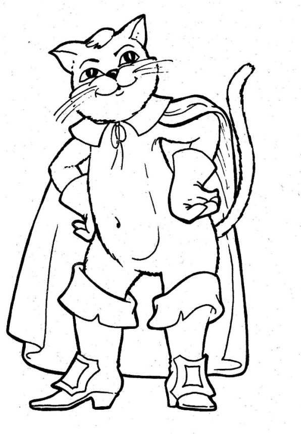 Puss In A Boot Animal Coloring Pages E14493907186164e66 Coloring Page