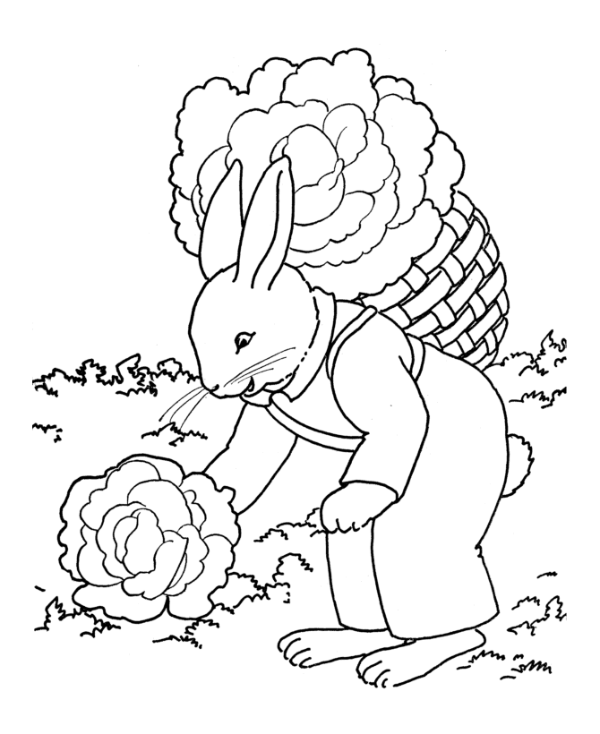 Rabbit Gardenings