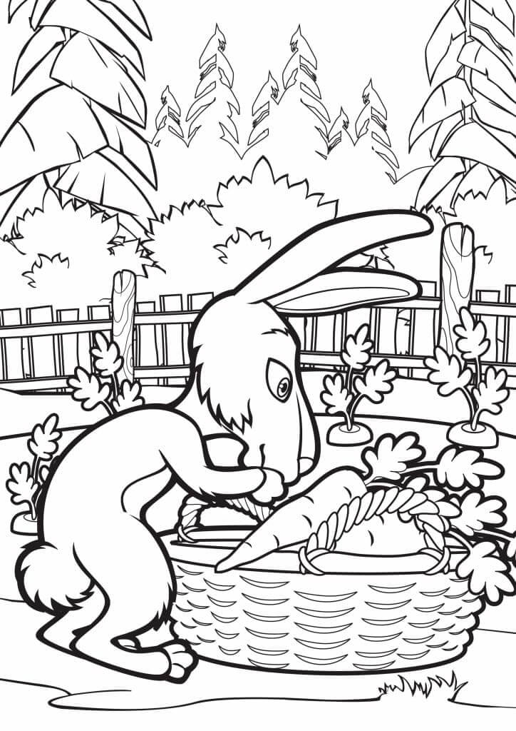 Rabbit in Masha Coloring Page