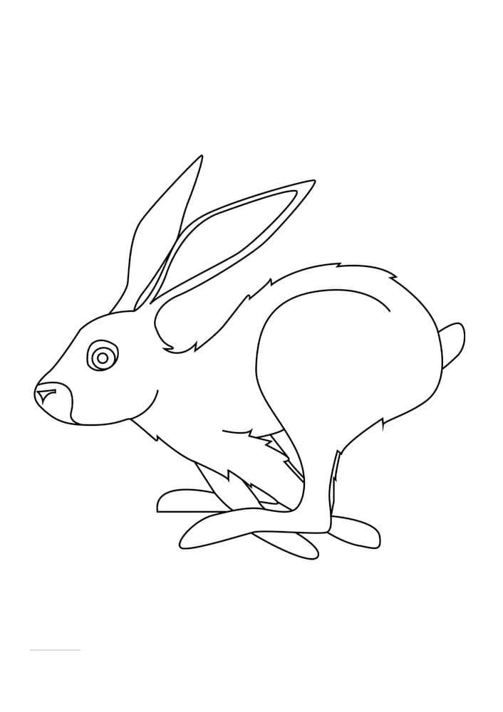 Rabbit Running Coloring Page
