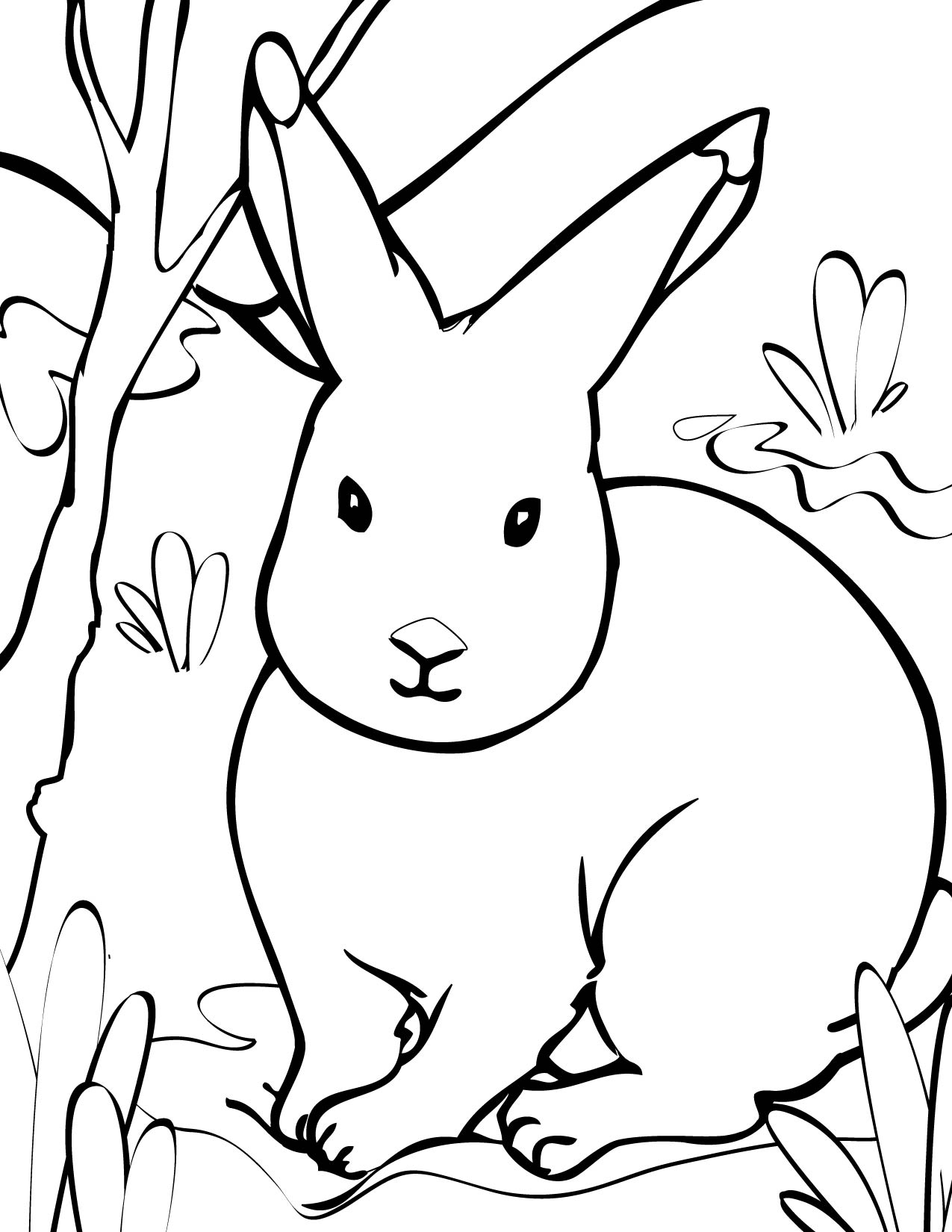 Rabbit S Printable Animals626d Coloring Page