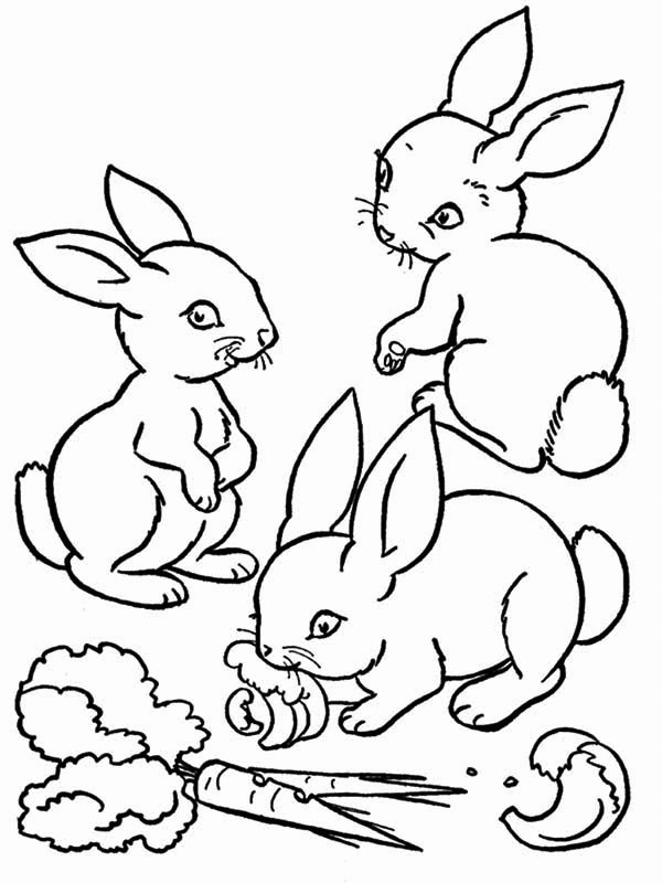 Rabbits Eating Carrots Coloring Page