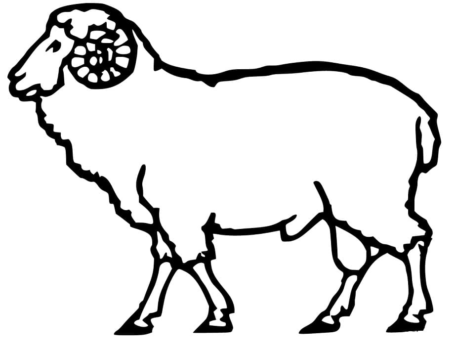 Ram Free Coloring Page