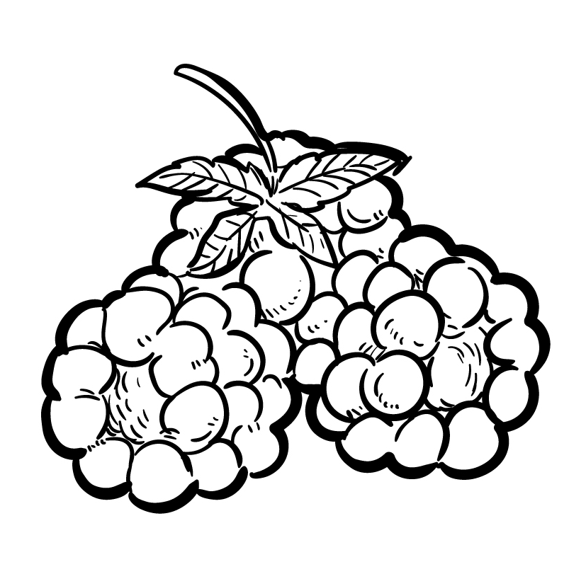 Raspberriess