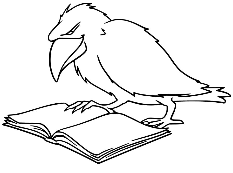 Raven Reading Book