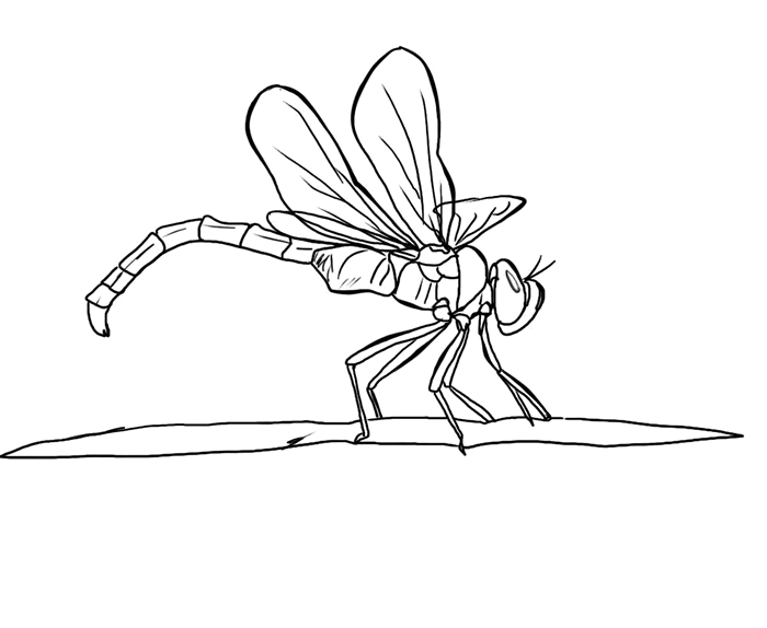 Realistic Dragonfly Animal Fc25 Coloring Page