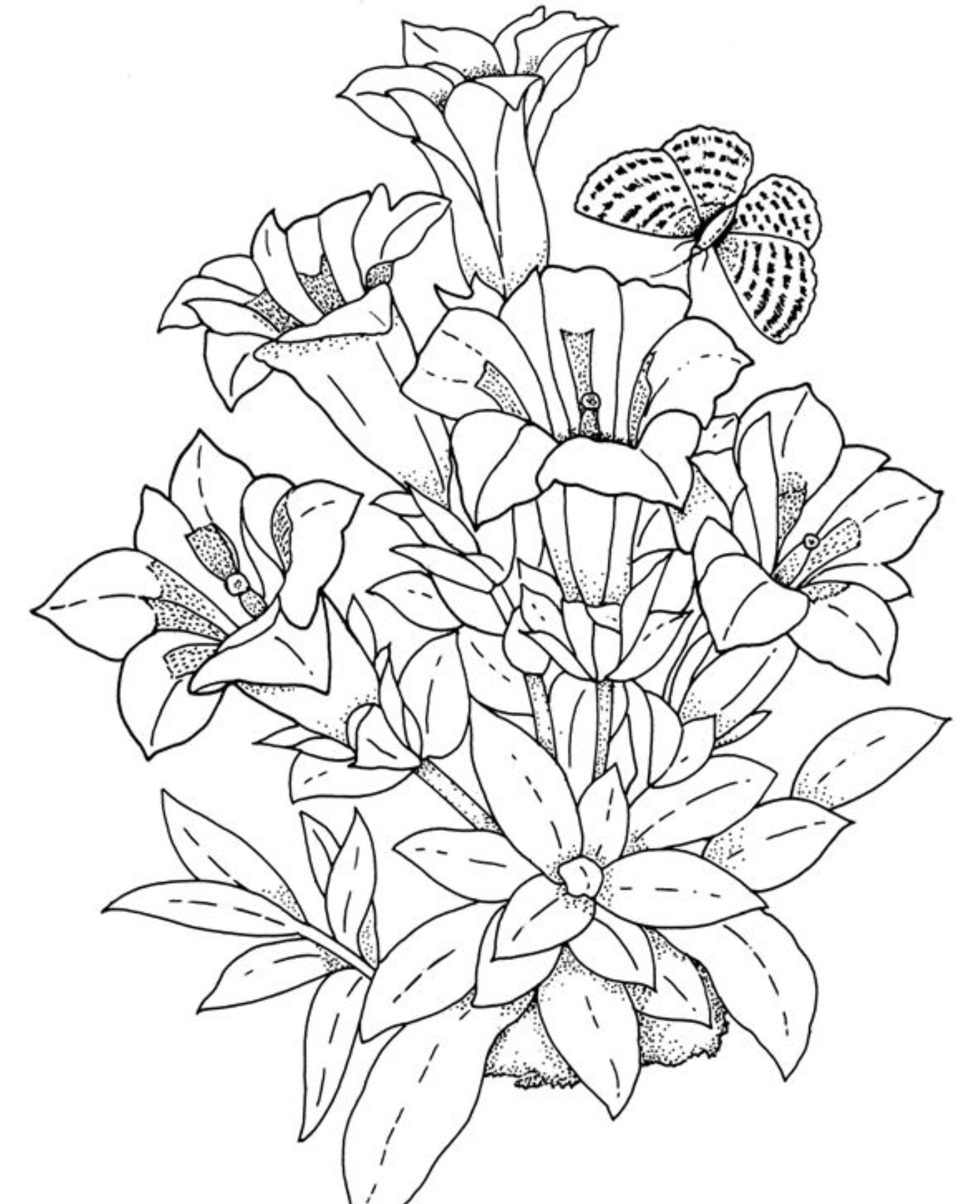Realistic Flowers Coloring Page