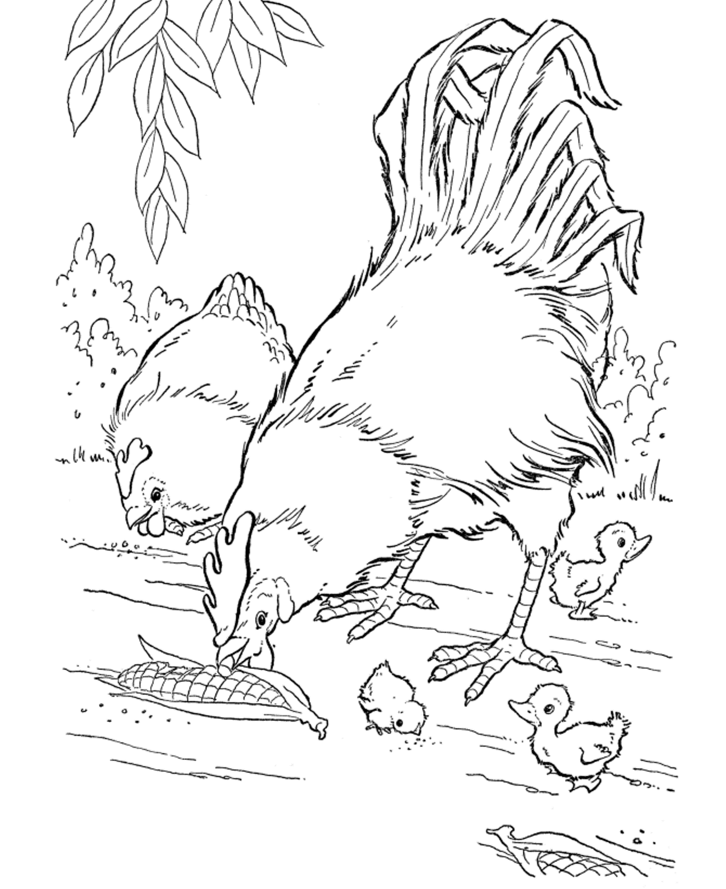 Realistic Hen And Rooster Farm Animal S7cc5 Coloring Page
