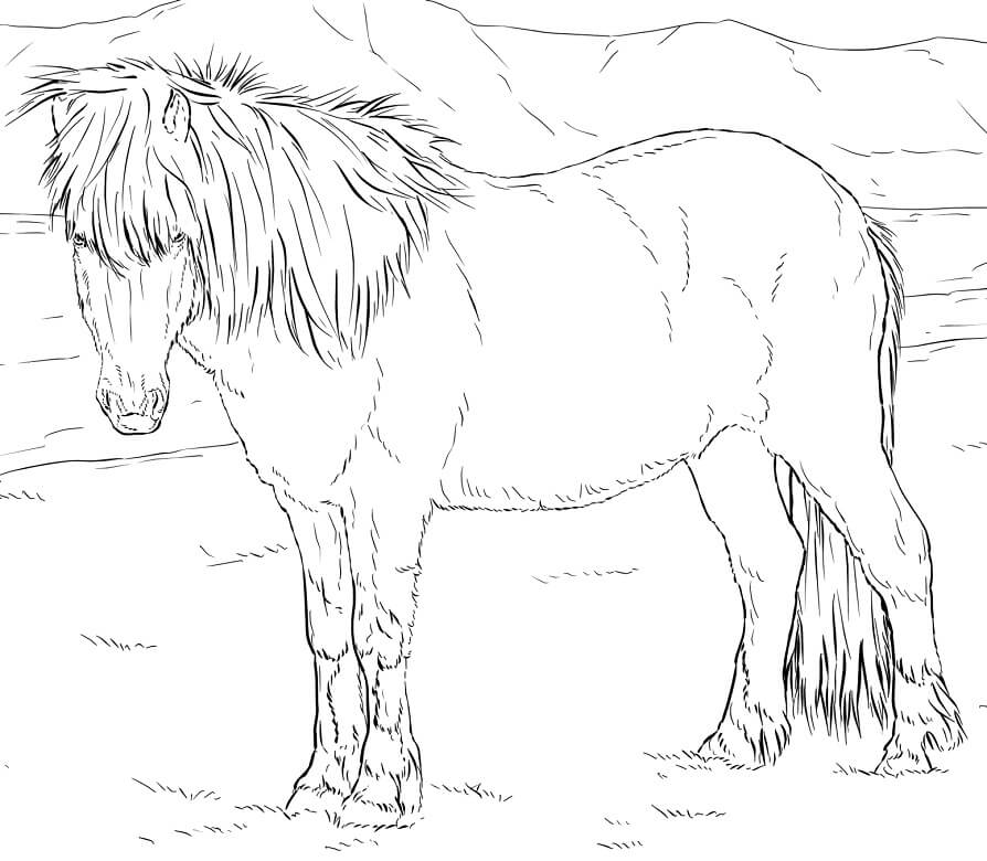 Realistic Icelandic Horse Coloring Page