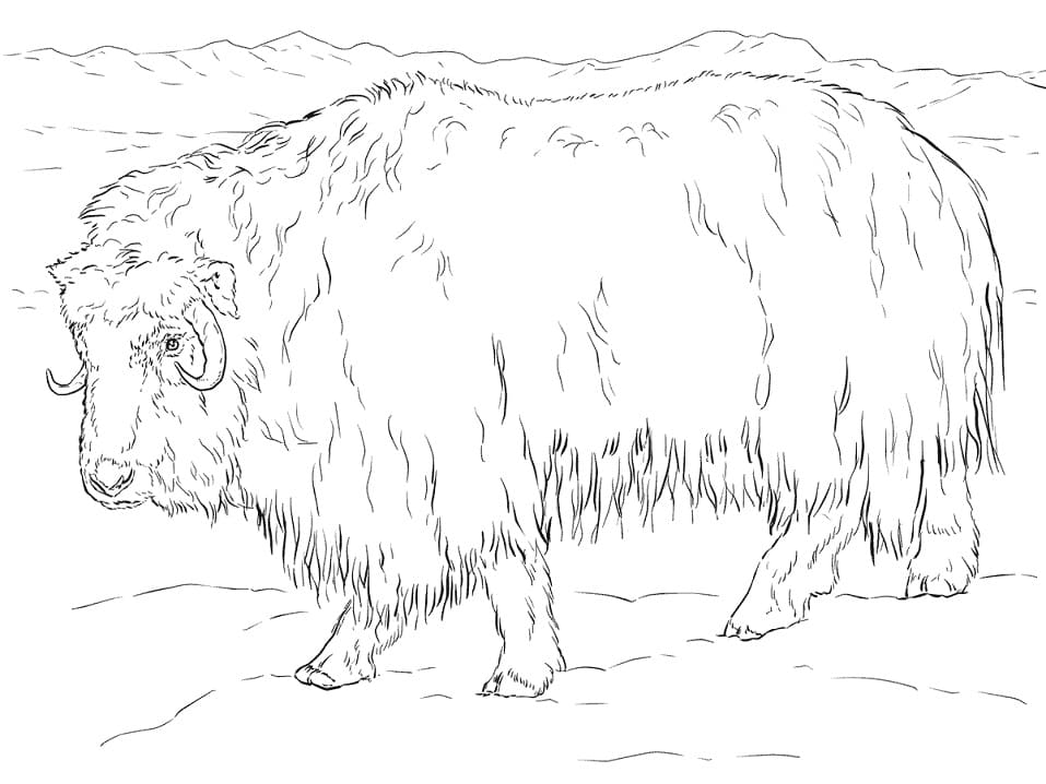 Realistic Musk Ox