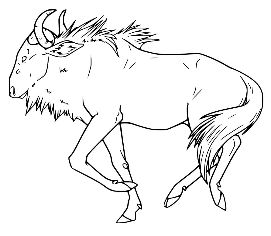 Realistic Wildebeest Coloring Page