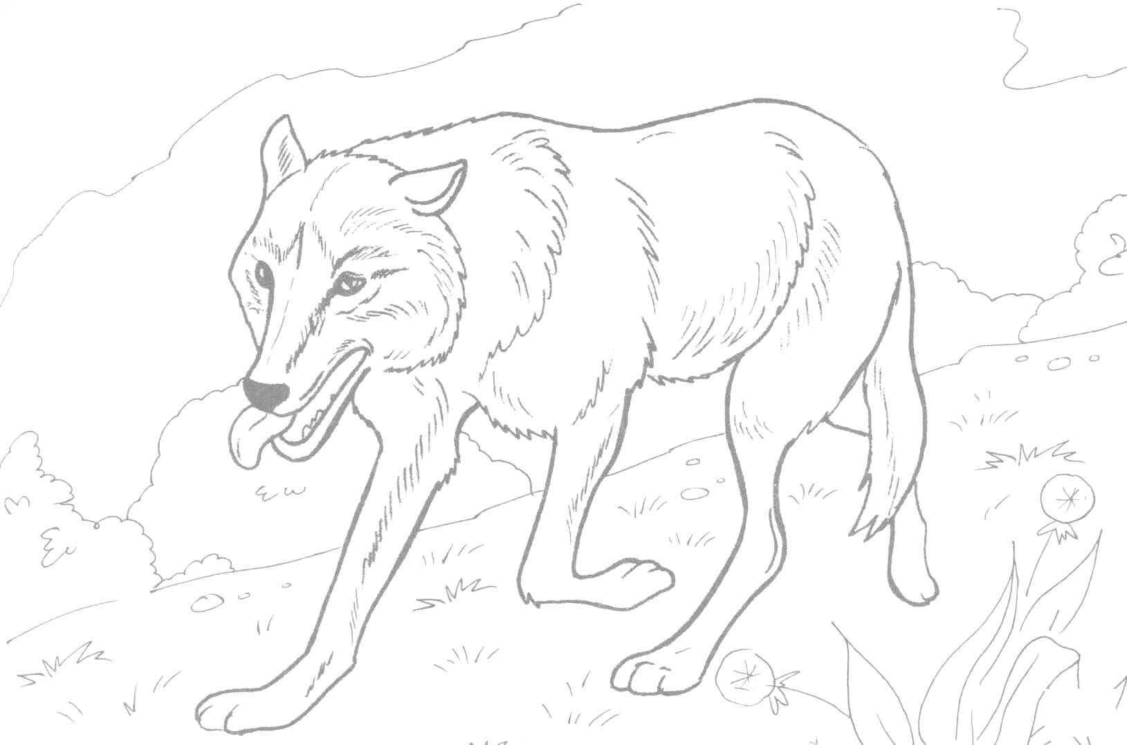 Realistic Wolf Running Coloring Page