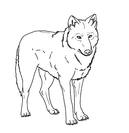 Realistic Wolf S To Print Coloring Page