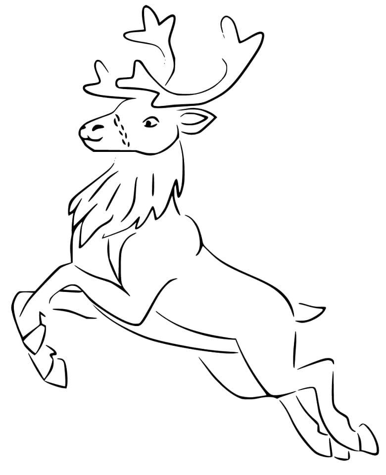 Red Deer Jumping